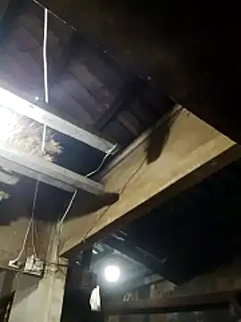  CTMay 77 online show from 03-21-26, 12:31