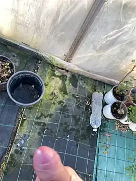 marcoboss online show from 01-14-26, 01:48