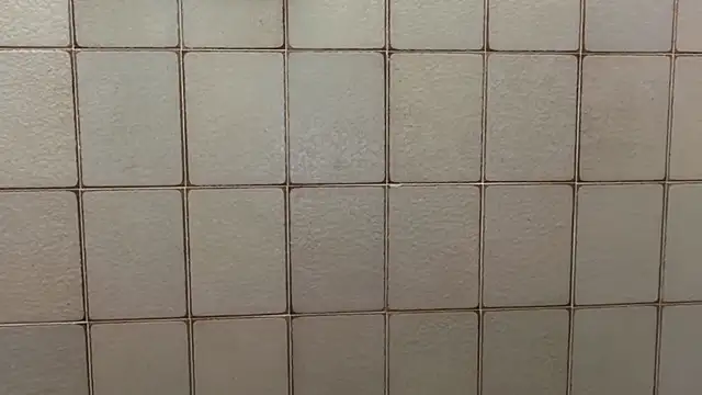 veinpill666 online show from 02-11-26, 03:45