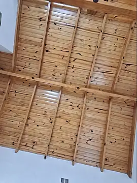 Snapshot of AbidingAuspices chatting on 02-15-26, 01:21 AbidingAuspices online show from 02-15-26, 01:21