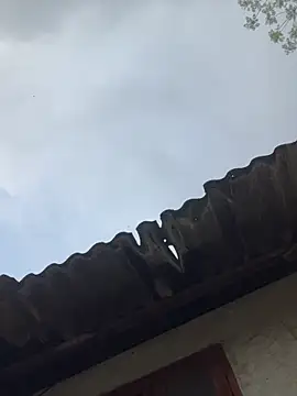 Nika-be online show from 03-27-26, 01:14