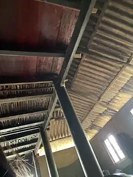 Nika-be online show from 03-03-26, 04:19