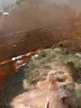 katiyvy online show from 02-16-26, 07:12