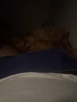 Night outcam online show from 12-21-25, 07:48