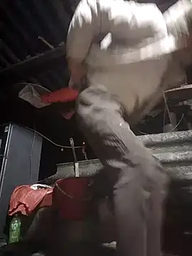 baby8822 online show from 01-11-26, 11:11