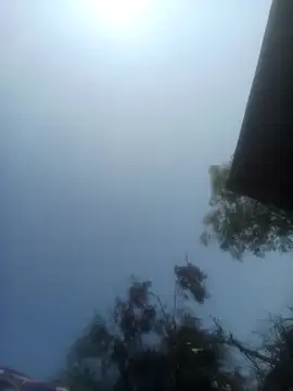 Pinki rajak online show from 02-10-26, 06:23