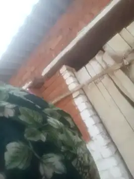 Pinki rajak online show from 04-24-26, 10:50