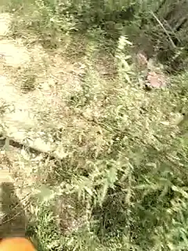 Snapshot of mohit08desi chatting on 05-25-26, 06:12 mohit08desi online show from 05-25-26, 06:12