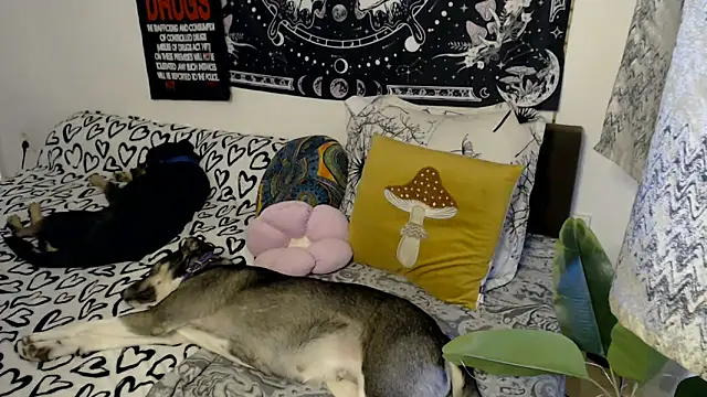 AlienforTwenty online show from 02-26-26, 08:58