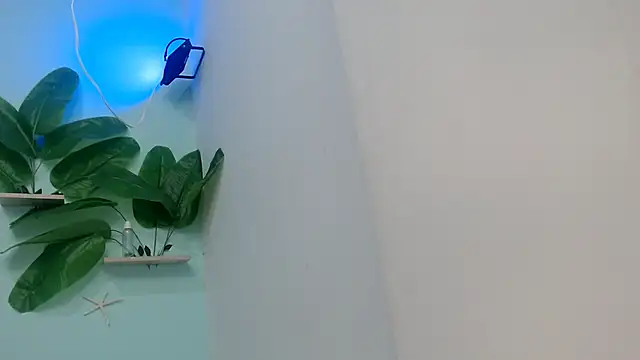 NOVAHOT98 online show from 01-12-26, 05:53