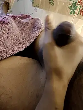 susuadult online show from 01-14-26, 08:34