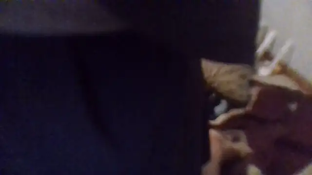 Snapshot of givr6inches chatting on 04-24-26, 01:51 givr6inches online show from 04-24-26, 01:51