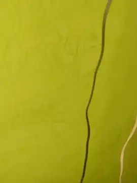 SHARLOT2427 online show from 12-20-25, 07:28