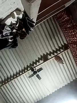 Shreya pandit online show from 03-23-26, 10:31