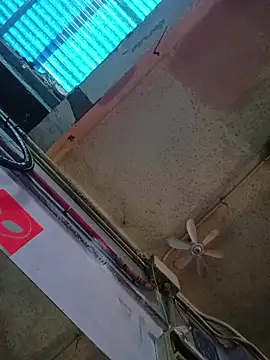 SnappedHagfish online show from 04-02-26, 09:16