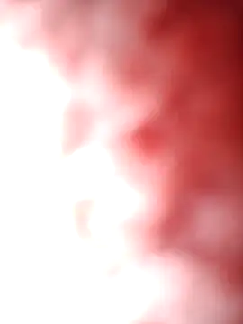 aman4404 online show from 02-11-26, 02:44