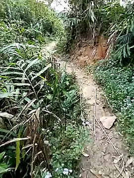 seacyre online show from 04-11-26, 12:29