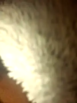 micaela691 online show from 12-16-25, 09:08