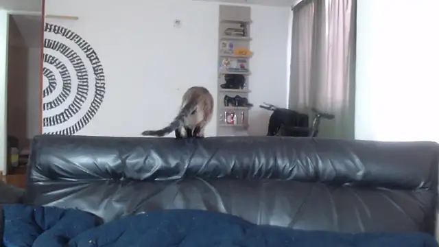 BeautyYoungblond online show from 06-16-26, 10:43