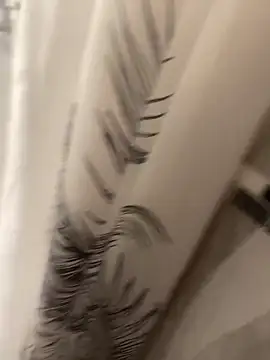 Miguel 667 online show from 04-15-26, 08:20