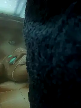 sofi calienta online show from 01-06-26, 05:28