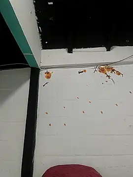 sk8-boy online show from 03-21-26, 01:48