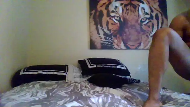 KingDes55 online show from 03-11-26, 02:44