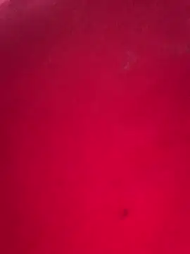 missmisha01 online show from 02-17-26, 02:31