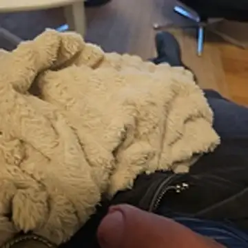 Puntadelteno online show from 01-05-26, 08:01