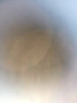 Snapshot of novio-de-la-tarde chatting on 04-24-26, 12:56 novio-de-la-tarde online show from 04-24-26, 12:56
