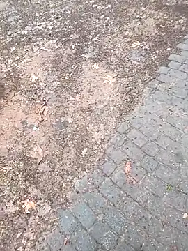 musa27272 online show from 02-01-26, 05:27