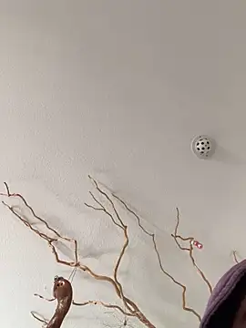 LienalWarplane online show from 02-05-26, 02:24