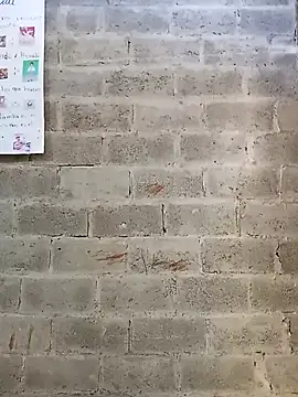 bonita  online show from 01-14-26, 01:15