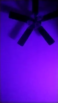Cantgetenough0069 online show from 05-17-26, 07:41