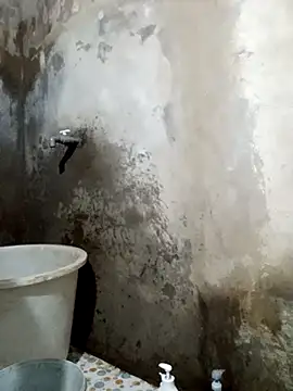 yula-bi online show from 03-30-26, 11:11