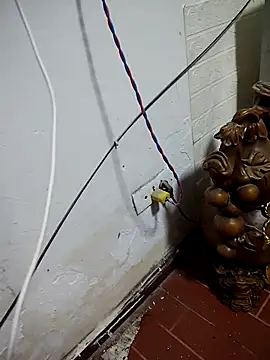 thobaby99 online show from 01-09-26, 07:48