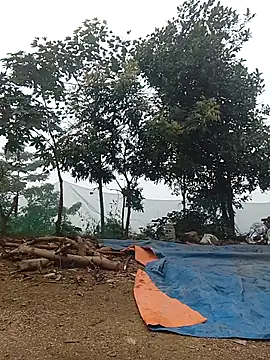 Snapshot of Menlike69 chatting on 01-09-26, 02:07 Menlike69 online show from 01-09-26, 02:07