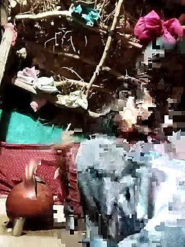 Cuty priti online show from 05-14-26, 04:48