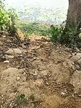 Sheela Sex90 online show from 04-17-26, 05:32