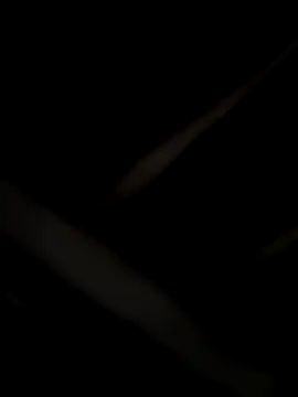 laramacedo2026 online show from 01-08-26, 10:16