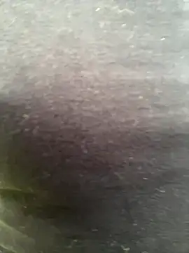 bety13 online show from 06-15-26, 04:06