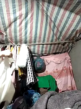 Lucky cutee online show from 01-17-26, 04:49