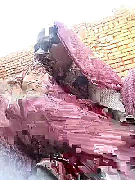 Rakhi cut online show from 01-13-26, 02:37