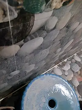 hydhunk26 online show from 06-24-26, 05:39