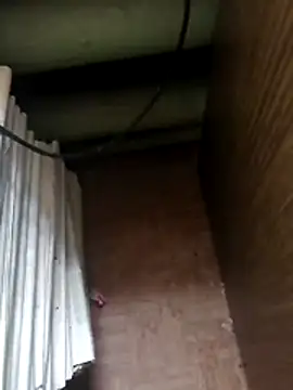 Tata and Joker online show from 04-10-26, 12:34