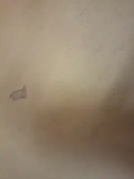 yourburget online show from 02-19-26, 02:25