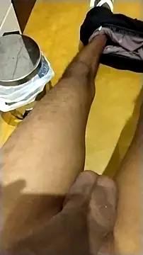 Novinhoie online show from 02-01-26, 09:24