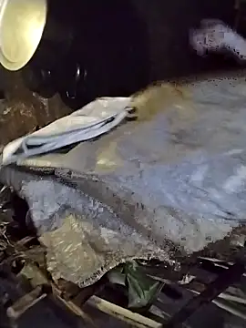 galaxy898 online show from 02-27-26, 12:38