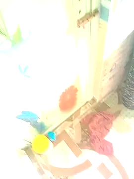 Hooghlypinkivabi online show from 01-10-26, 07:36