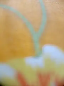 Hooghlypinkivabi online show from 02-20-26, 02:30